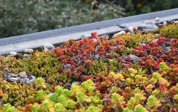 the cost of Treborough green roof installation