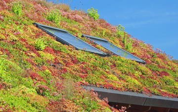 Treborough living roof systems