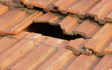 roof repair Treborough, Somerset